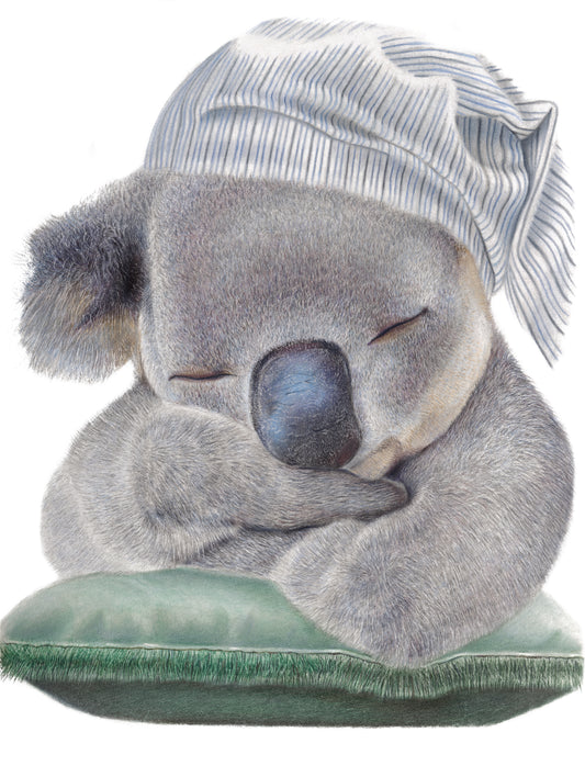 Sleepy Koala - 30cm x 40cm Colour Pencil on Pastelmat