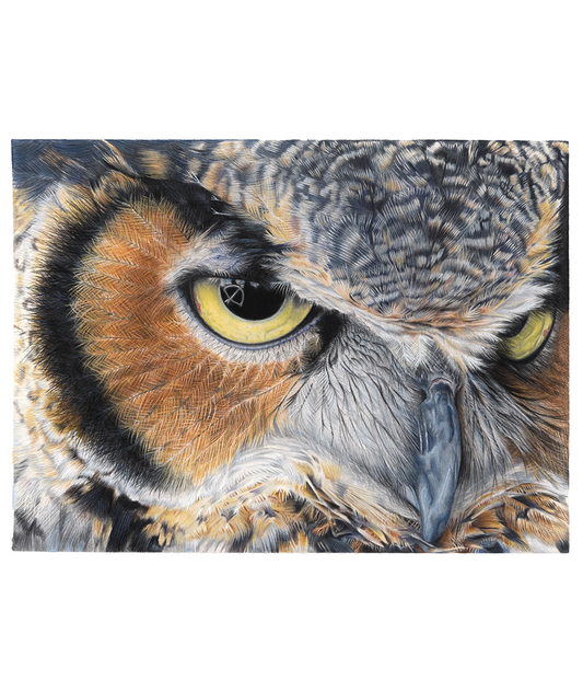 The Hunter - Owl Limited Edition Print