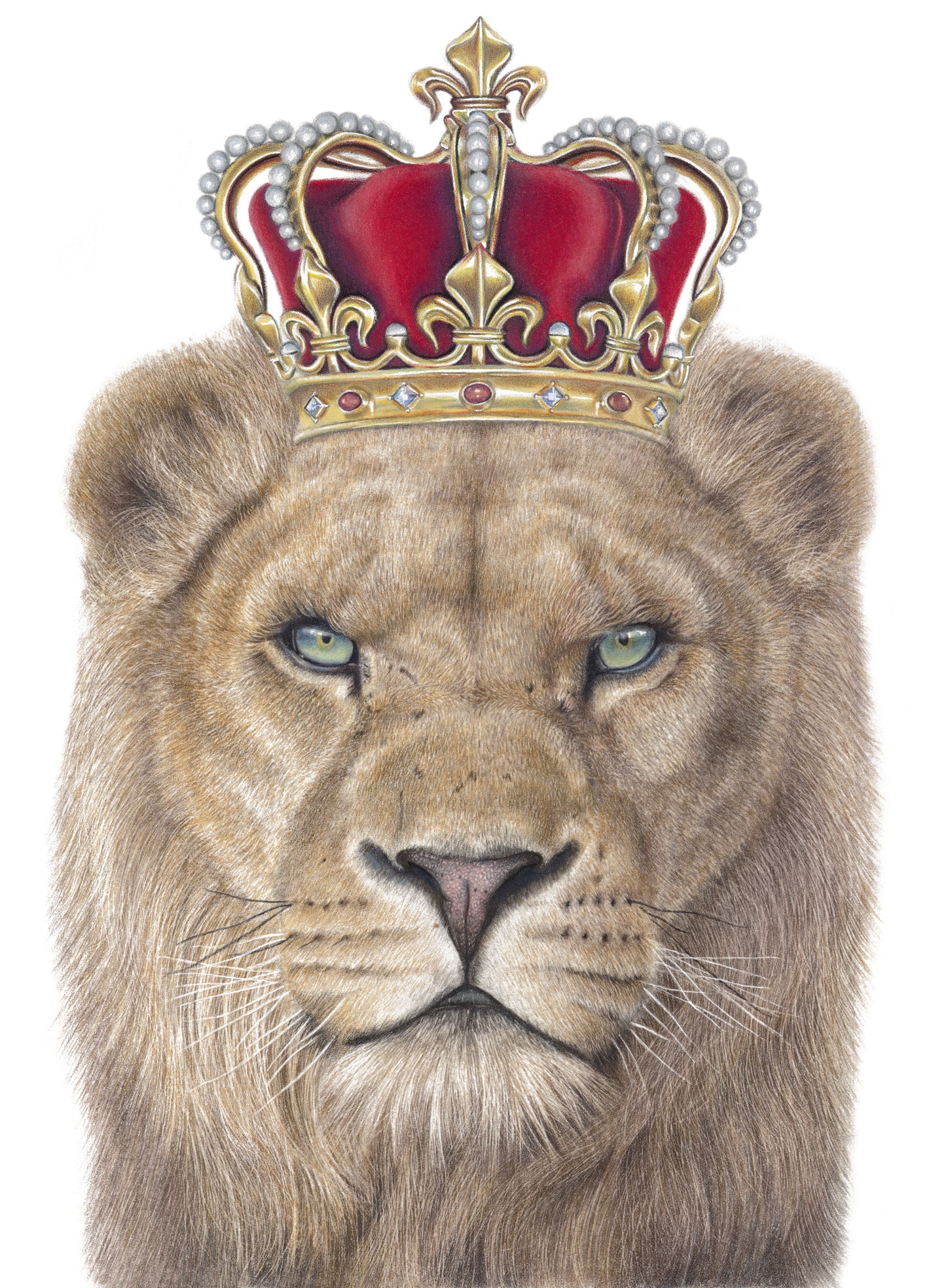 The King - Lion Limited Edition Print (Gold Leaf Embellished)